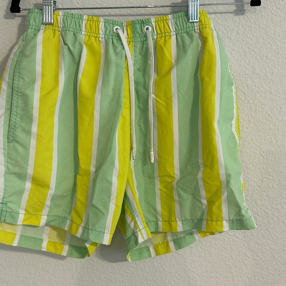 Zara Lime and Lemon Striped Swim Trunks - Picture 1 of 4